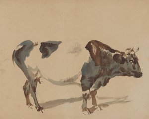 Study of a cow by Piotr Michalowski Oil Painting