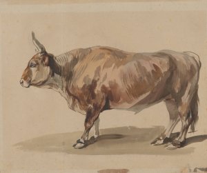 Study of a fawn ox by Piotr Michalowski Oil Painting