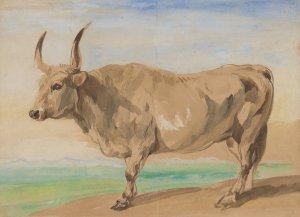 Study of Hungarian breed ox by Piotr Michalowski Oil Painting