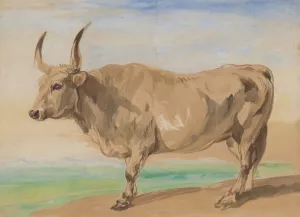 Study of Hungarian breed ox by Piotr Michalowski Oil Painting
