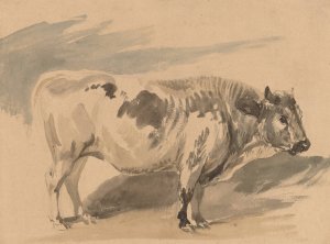Study of 'Simentaler' breed bull by Piotr Michalowski Oil Painting