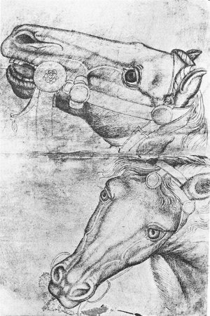 Study of Horse Heads by Pisanello Oil Painting