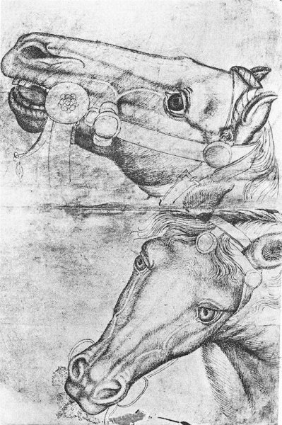 Main Product Photo of Study of Horse Heads Painting by Pisanello