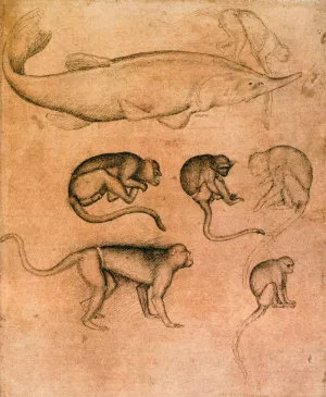 Sturgeon and Six Monkeys Oil painting by Pisanello