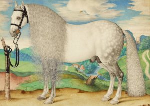 A Dappled Gray Stallion Tethered in a Landscape by Prague School Oil Painting