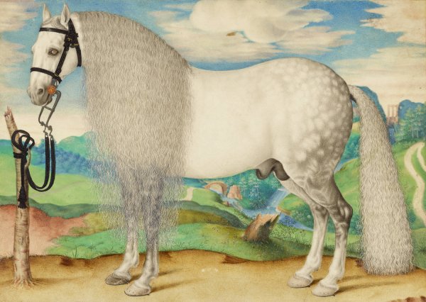 A Dappled Gray Stallion Tethered in a Landscape  by Prague School - Hand-Painted Oil Painting Reproduction