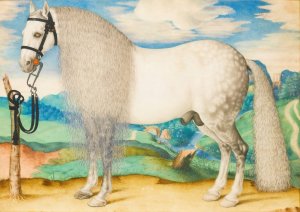 A Dappled Grey Stallion Tethered In A Landscape by Prague School Oil Painting