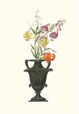 Lilium Pomponium, Lilium Chalcedonicum by Priscilla Susan Bury Oil Painting
