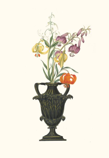 Lilium Pomponium, Lilium Chalcedonicum  by Priscilla Susan Bury - Hand-Painted Oil Painting Reproduction