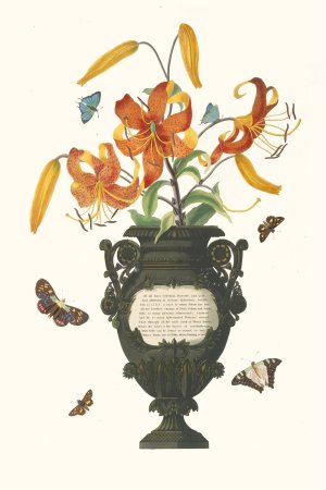 Lilium Tigrinum by Priscilla Susan Bury Oil Painting