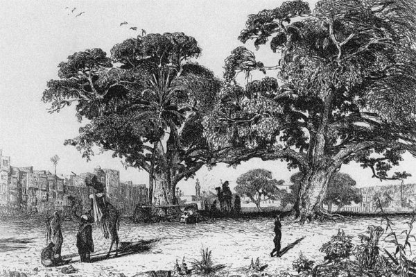Main Product Photo of View of Ezbekiyah, Cairo Painting by Prosper Marilhat
