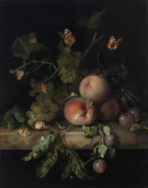Peaches, grapes and plums with a dragonfly, snail, caterpillar, butterfly and other insects on a stone ledge by Rachel Ruysch Oil Painting