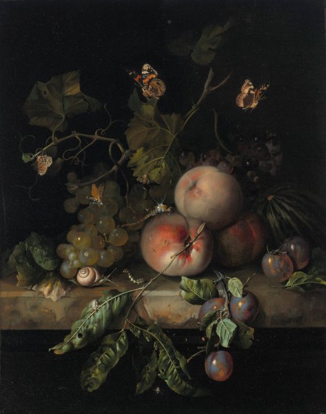 Peaches, grapes and plums with a dragonfly, snail, caterpillar, butterfly and other insects on a stone ledge  by Rachel Ruysch - Hand-Painted Oil Painting Reproduction