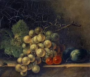 Still Life With Grapes, Stone Fruit And Fly by Rachel Ruysch Oil Painting