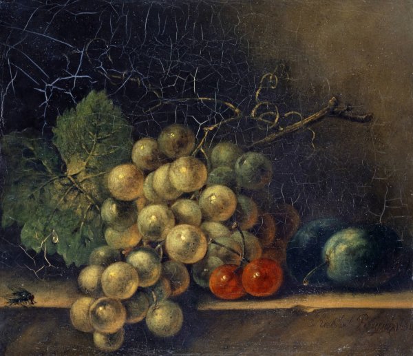 Still Life With Grapes, Stone Fruit And Fly  by Rachel Ruysch - Hand-Painted Oil Painting Reproduction