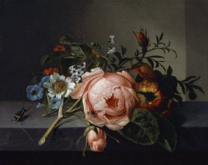 Still Life With Rose Branch, Beetle And Bee by Rachel Ruysch Oil Painting