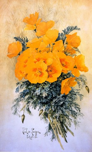 A Bunch of California Poppies