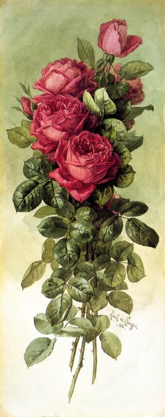 American Beauty Roses Oil painting by Raoul De Longpre