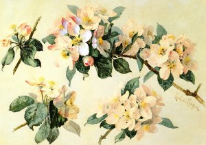 Apple Blossoms with Hummingbird and Bumblebees by Raoul De Longpre Oil Painting