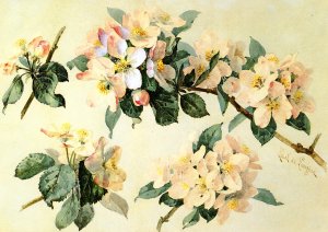 Apple Blossoms with Hummingbird and Bumblebees