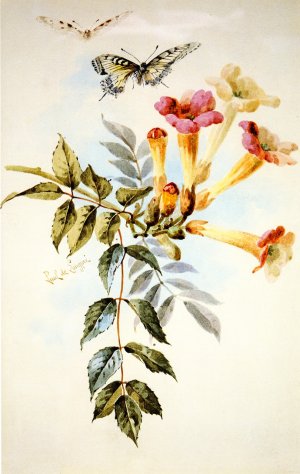 Arrangement of Trumpet Flowers by Raoul De Longpre Oil Painting