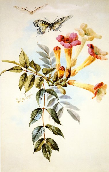 Main Product Photo of Arrangement of Trumpet Flowers Painting by Raoul De Longpre