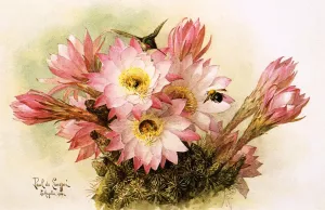 Cactus Blossoms painting by Raoul De Longpre