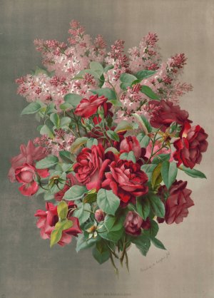 Purple hues and blushes rare by Raoul De Longpre Oil Painting