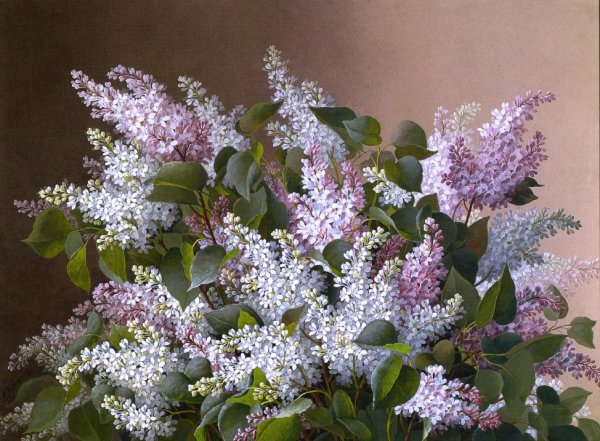Main Product Photo of Spray of Lilacs Painting by Raoul De Longpre