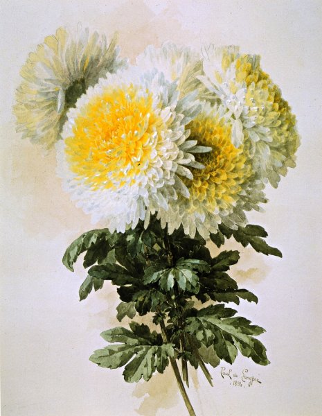 Main Product Photo of White and Yellow Mums Painting by Raoul De Longpre