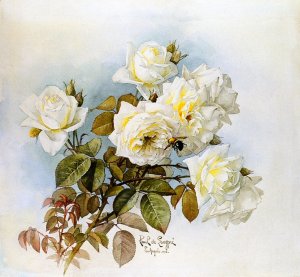 White Roses and Bumblebees