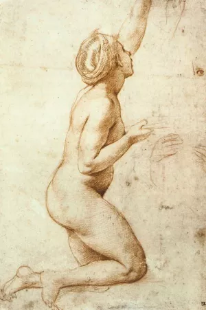 Kneeling Nude Woman painting by Raphael