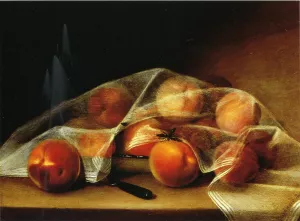 Fruit Piece with Peaches Covered by a Handkerchief also known as Covered Peaches by Raphaelle Peale - Oil Painting Reproduction