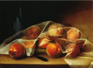Fruit Piece with Peaches Covered by a Handkerchief also known as Covered Peaches Oil painting by Raphaelle Peale