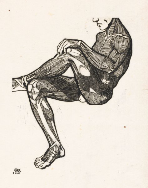 Anatomische studie van de been- en armspieren van een man  by Reijer Stolk - Hand-Painted Oil Painting Reproduction