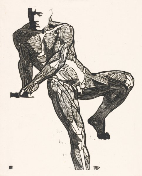 Anatomische studie van de borst-, buik- en beenspieren van een man  by Reijer Stolk - Hand-Painted Oil Painting Reproduction
