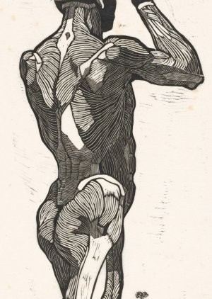 Anatomische studie van de rug- en bilspieren van een man by Reijer Stolk Oil Painting