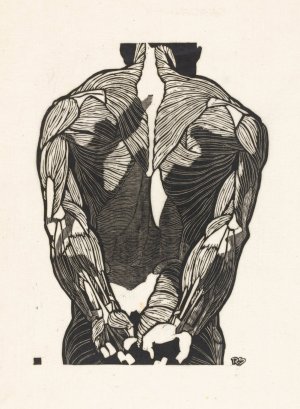Anatomische studie van de rugspieren van een man by Reijer Stolk Oil Painting