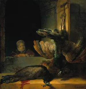 Dead Peacocks by Rembrandt Van Rijn Oil Painting