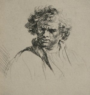 Man with Curly Hair by Rembrandt Van Rijn Oil Painting