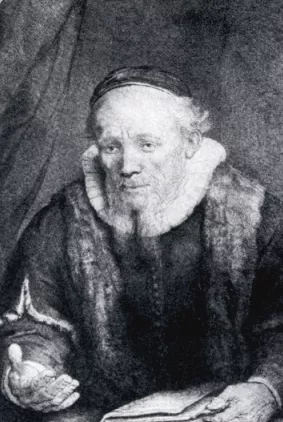 Portrait Of Johannes Cornelisz Oil painting by Rembrandt Van Rijn