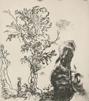 Sketch of a Tree by Rembrandt Van Rijn - Oil Painting Reproduction