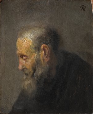 Study of an Old Man in Profile by Rembrandt Van Rijn Oil Painting