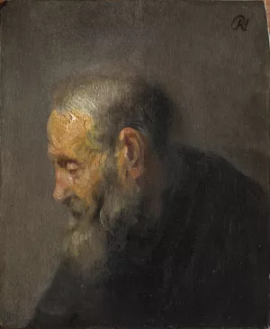 Study of an Old Man in Profile by Rembrandt Van Rijn Oil Painting