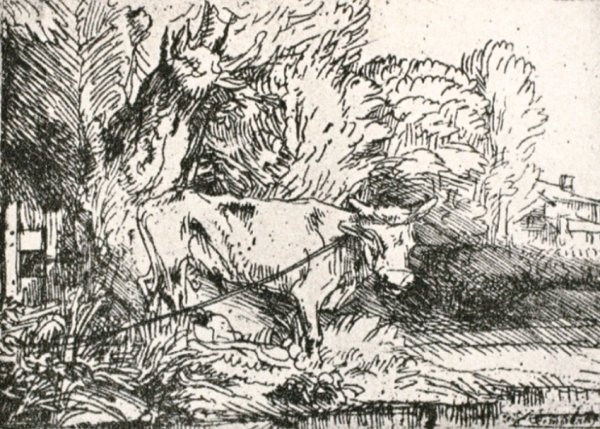 Main Product Photo of The Bull Painting by Rembrandt Van Rijn