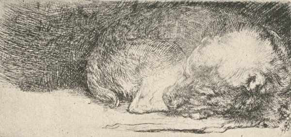 Main Product Photo of The Little Dog Sleeping Painting by Rembrandt Van Rijn
