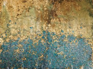 Oro by Renée W. Stramel Oil Painting