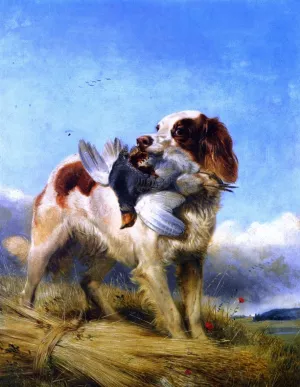 An English Setter Retrieving Partridge painting by Richard Ansdell