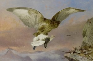Buzzard With Ptarmigan by Richard Ansdell Oil Painting
