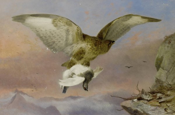 Main Product Photo of Buzzard With Ptarmigan  Painting by Richard Ansdell